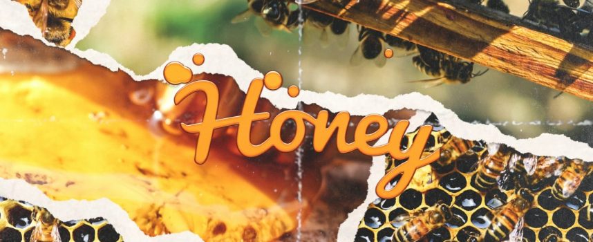 HARRY FLAME – “HONEY”