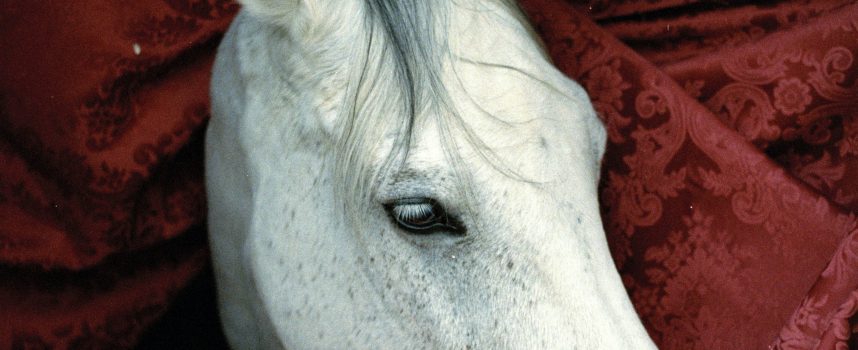 “Bluvertigo”: Malakay & Pherro ripartono con un nuovo progetto