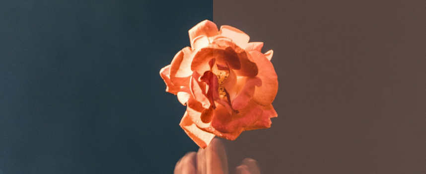 Street Label Records pubblica il nuovo singolo di GUARANY