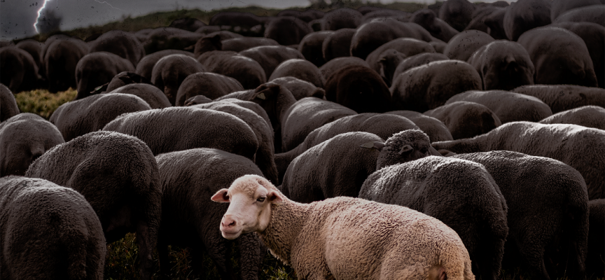 “L’antagonista”: è giunto il momento dell’attesissimo disco di Mattak, ma c’è ancora tempo per un antipasto!