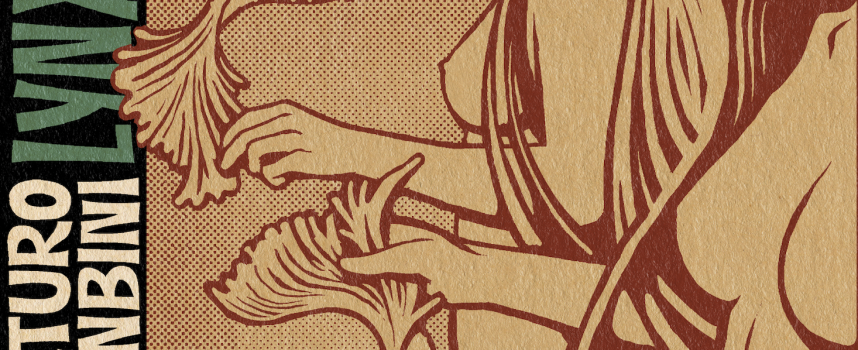 Il producer di Barcellona Arturo Banbini pubblica un nuovo album con Lynx 196.9