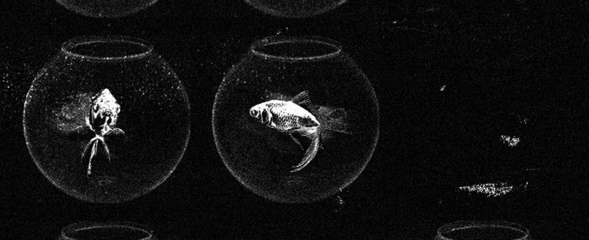 Il rapper torinese Steppo presenta il nuovo singolo “Routine”