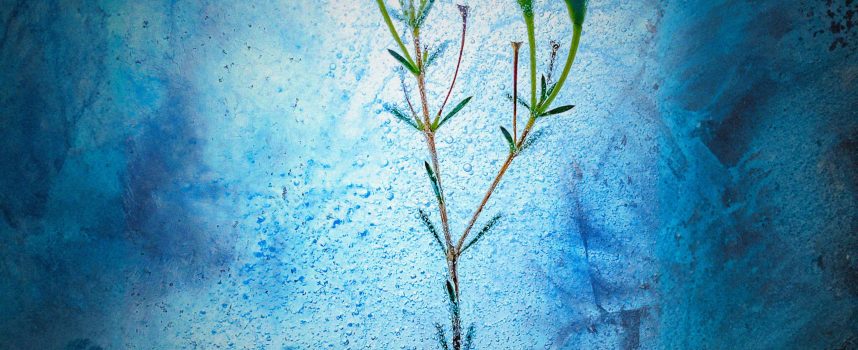 “Tenerti Con Me” è il nuovo singolo del rapper EMA DOOR