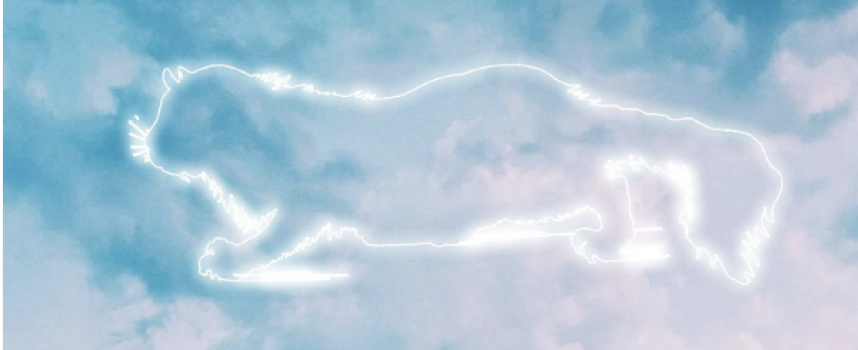 ILION: il nuovo singolo “NON PENSI” da oggi su tutte le piattaforme digitali