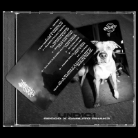 Secco x Carlito Shak3 pubblicano “UNDICI”, un album diviso tra ombra e riflesso