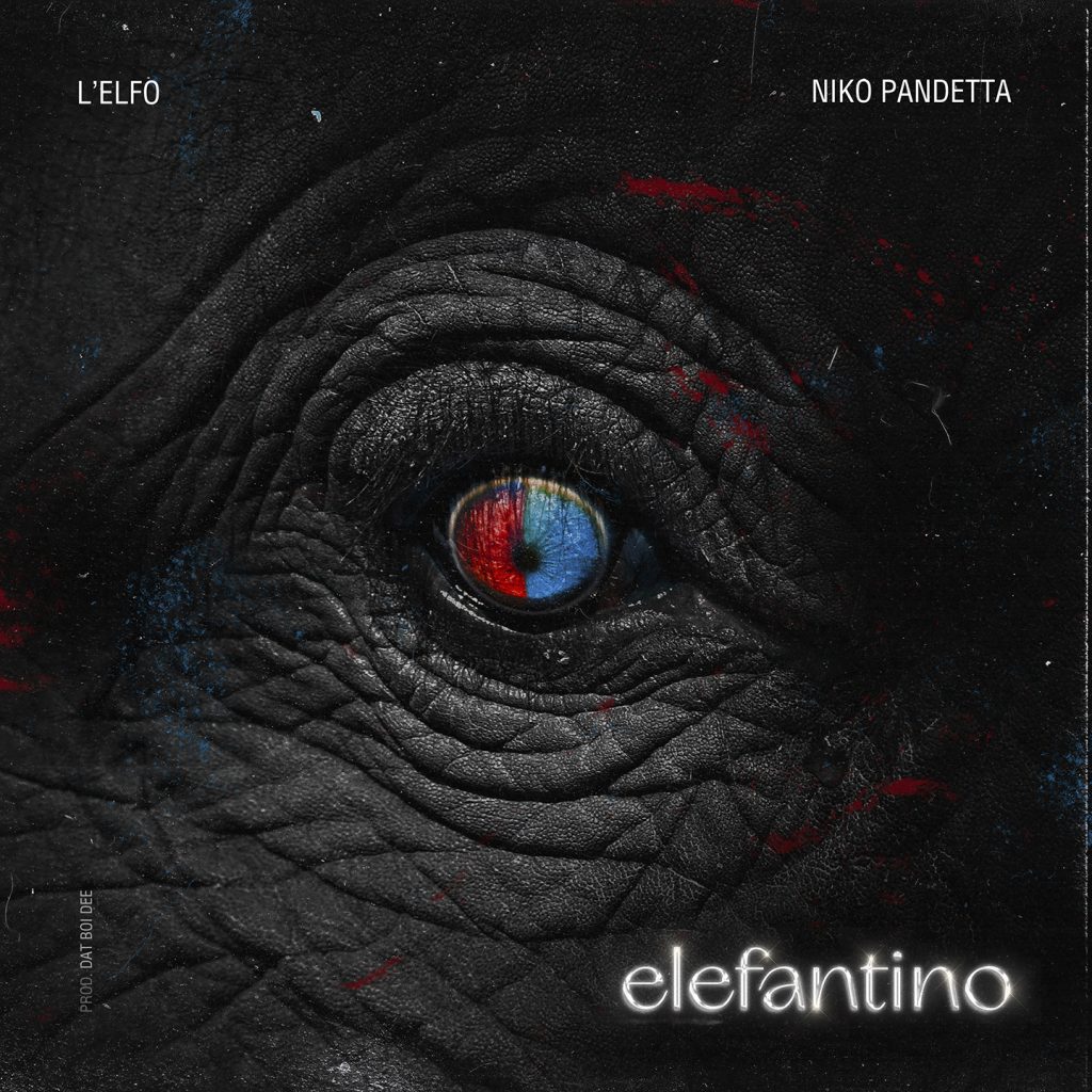 elefantino l'elfo niko pandetta